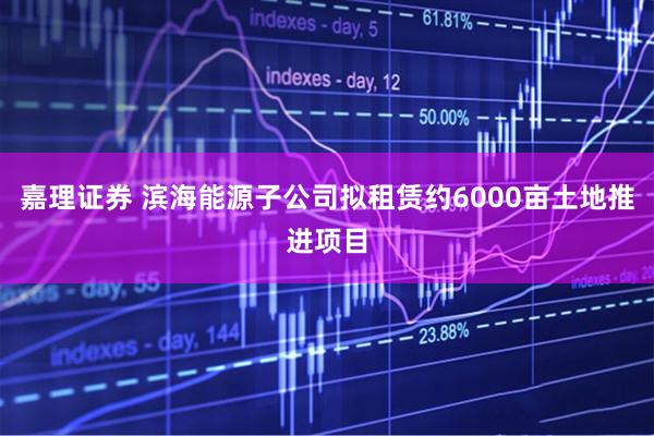 嘉理证券 滨海能源子公司拟租赁约6000亩土地推进项目