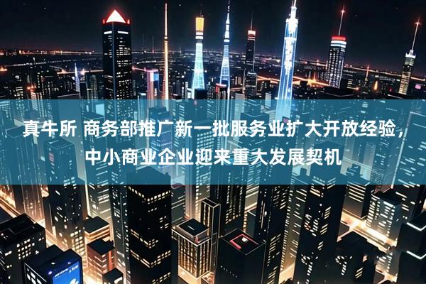 真牛所 商务部推广新一批服务业扩大开放经验，中小商业企业迎来重大发展契机