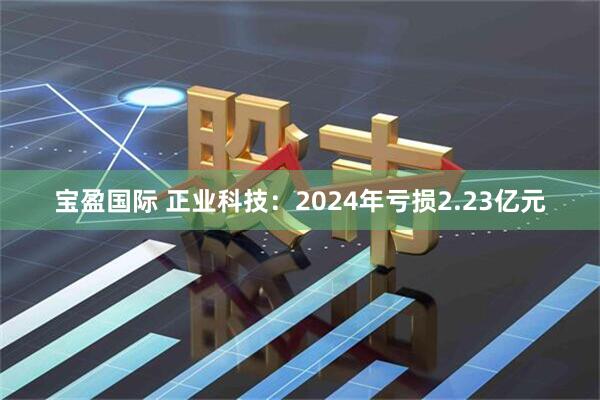 宝盈国际 正业科技：2024年亏损2.23亿元
